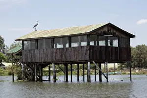 Mark Boulton: 80186949 Observation hut bird hide on stilts Lake