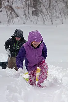 Sledging: 80187025 Snow - Children sledging - Winter storm