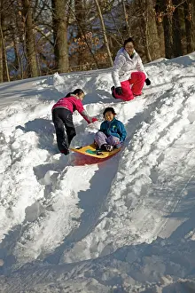 Sledging: 80187031 Snow - Children sledging - Winter storm