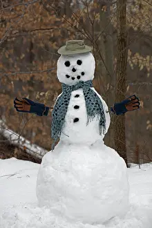 Snowman: 80187034 Snow - snowman - Winter storm Jonas, Snowzilla
