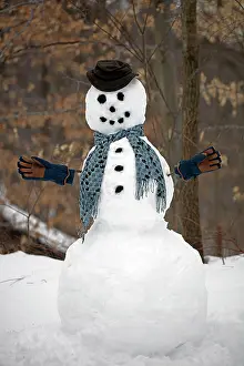 Snowman: 80187035 Snow - snowman - Winter storm Jonas, Snowzilla