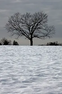 Jonas: 80187036 Snow - Winter storm Jonas, Snowzilla, January