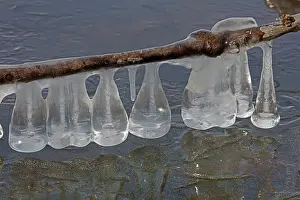 John Cancalosi: 80187042 Icicles - on lake Montgomery county Maryland
