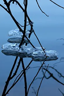 John Cancalosi: 80187043 Icicles - on lake Montgomery county Maryland