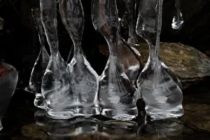 Montgomery: 80187045 Icicles - on lake Montgomery county Maryland