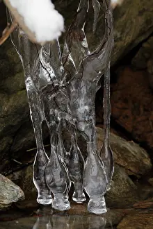 John Cancalosi: 80187046 Icicles - on lake Montgomery county Maryland