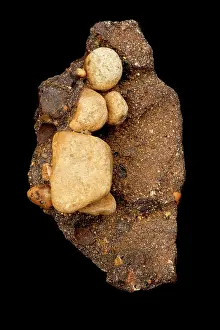 John Cancalosi: 80187048 Conglomerate - ironstone cement Delaware