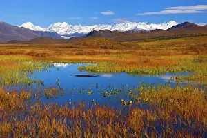 Highway: 80187230 Denali Highway - colourful autumn colours