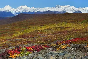 Highway: 80187231 Denali Highway - colourful tundra landscape