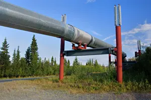 Trans: 80187235 Alyeska Pipeline - short section of Trans-Alaska-Pi