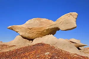 Wonderful: 80187341 Flying Turtle - wonderful, whimsical eroded