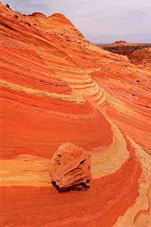Turned: 80187359 Boxwork Boneyard - old sand dunes turned
