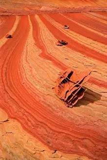 Turned: 80187360 Boxwork Boneyard - old sand dunes turned