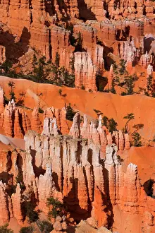 Amphitheatre: 80187372 Bryce Canyon - Amphitheatre with famous