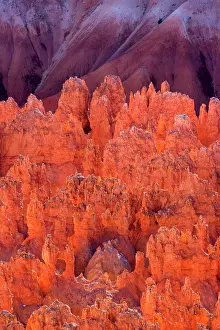 Bryce: 80187374 Bryce Canyon - reflecting light highlighting