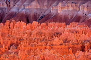 Bryce: 80187375 Bryce Canyon - reflecting light highlighting