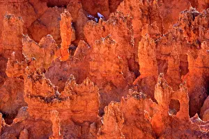 Bryce: 80187378 Bryce Canyon - reflecting light highlighting