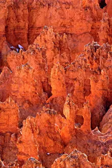 Bryce: 80187379 Bryce Canyon - reflecting light highlighting