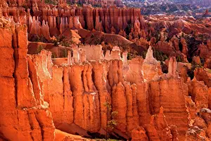 Spires: 80187381 Bryce Canyon - famous sandstone spires