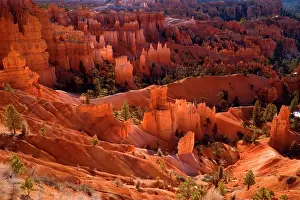 Bryce: 80187382 Bryce Canyon - view onto famous sandstone