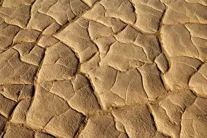 Hidden: 80187445 Cracked mud - pattern of cracked mud hidden