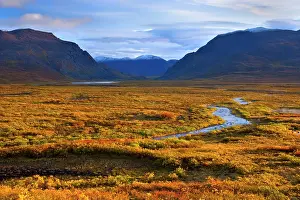 Denali: 80187478 Denali Highway - colourful tundra autumn