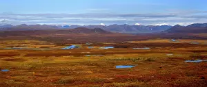 Highway: 80187480 Denali Highway - colourful tundra autumn
