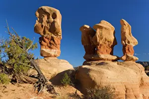 Petrified: 80187488 Devil's Garden - petrified sand dunes