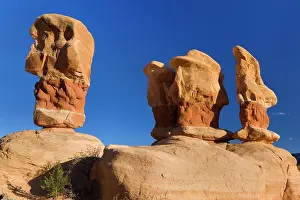 Petrified: 80187490 Devil's Garden - petrified sand dunes