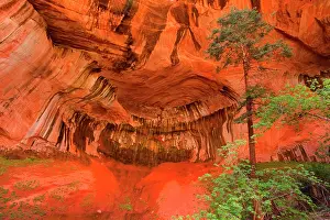 Double: 80187492 Double Arch Alcove - reflecting light in