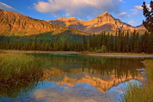 Epaulette: 80187539 Epaulette Mountain - mountain landscape