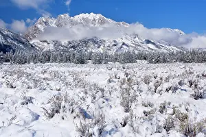 Thick: 80187634 winter landscape - a thick blanket of early