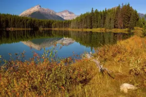 Herbert: 80187721 Herbert Lake - Bow Range reflected in calm
