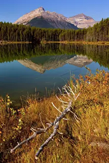 Herbert: 80187722 Herbert Lake - Bow Range reflected in calm