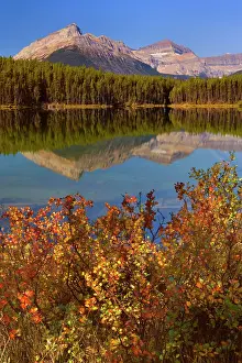 Herbert: 80187723 Herbert Lake - Bow Range reflected in calm