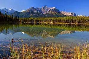 Herbert: 80187724 Herbert Lake - Bow Range reflected in calm