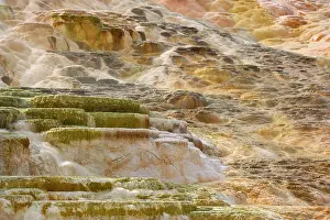 Mammoth: 80187781 Mammoth Hot Springs - colourful sinter