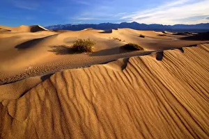 Mesquite: 80187792 Mesquite Flat Sand Dunes - golden sand