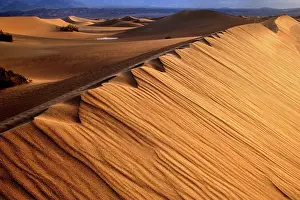 Mesquite: 80187793 Mesquite Flat Sand Dunes - golden sand