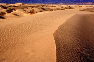 Mesquite: 80187794 Mesquite Flat Sand Dunes - golden sand
