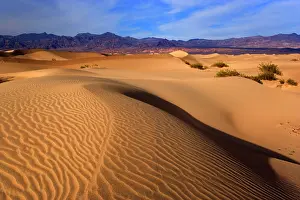 Mesquite: 80187795 Mesquite Flat Sand Dunes - golden sand