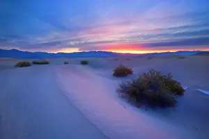 Mesquite: 80187796 Mesquite Flat Sand Dunes - golden sand