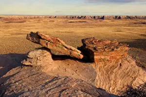 Petrified: 80187889 Petrified Forest - panoramic view with