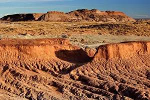 Clay: 80187890 Petrified Forest - colourful eroded clay