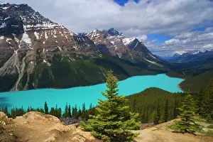 Peyto: 80187895 Peyto Lake - brightly turquoise coloured