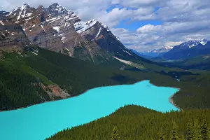 Peyto: 80187896 Peyto Lake - brightly turquoise coloured