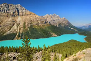 Peyto: 80187898 Peyto Lake - brightly turquoise coloured