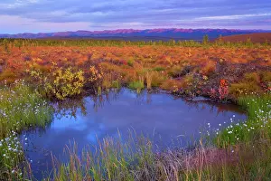 Richardson: 80187949 Richardson Mountains - colourful autumn