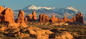 Pillars: 80188022 Sandstone Pillars - pillars of red sandstone