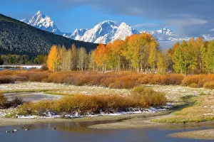 Oxbow: 80188062 Snake River Oxbow - mountain landscape